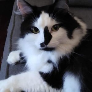 Meet your Posher, Beth